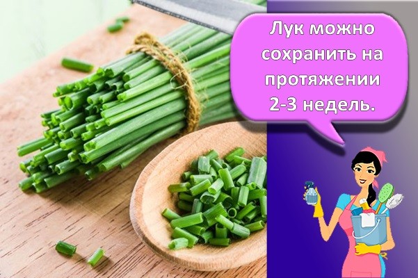 зеленый лук