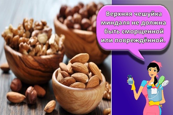 Верхняя чешуйка миндаля не должна быть сморщенной или повреждённой.