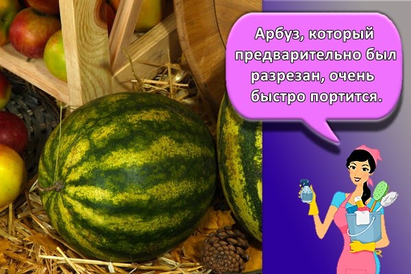 Арбуз, который предварительно был разрезан, очень быстро портится.