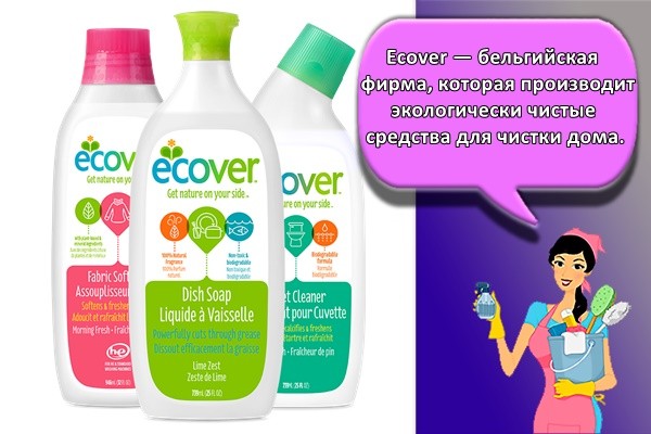 Ecover — бельгийская фирма, которая производит экологически чистые средства для чистки дома.
