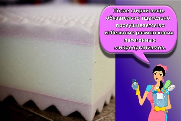 После стирки вещь обязательно тщательно просушивается во избежание размножения патогенных микроорганизмов.