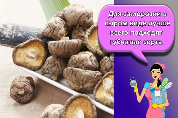 Для заморозки в сыром виде лучше всего подходят губчатые сорта.