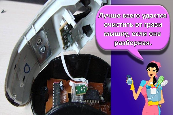 Лучше всего удастся очистить от грязи мышку, если она разборная.