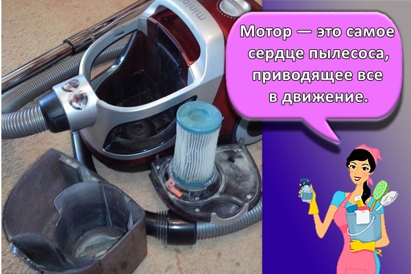 Мотор — это самое сердце пылесоса, приводящее все в движение.