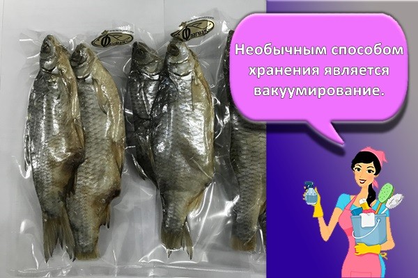 рыба в вакууме