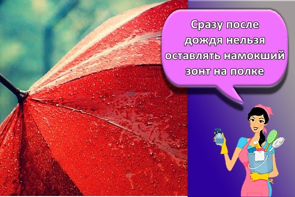 мокрый зонт