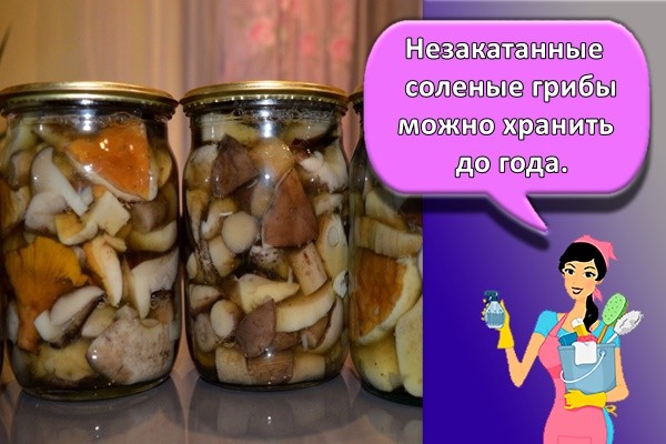 Незакатанные соленые грибы можно хранить до года.