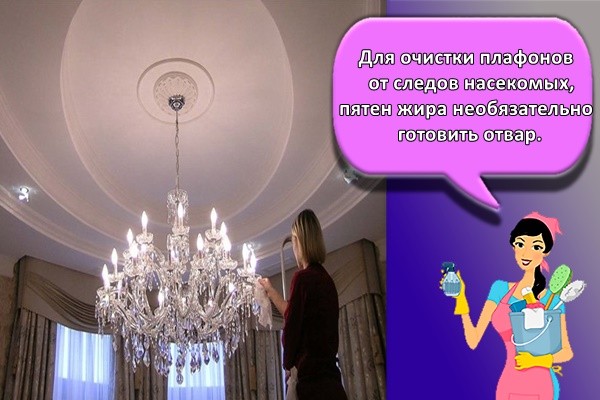 Для очистки плафонов от следов насекомых, пятен жира необязательно готовить отвар.
