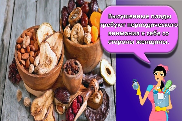 Высушенные плоды требуют периодического внимания к себе со стороны женщины.