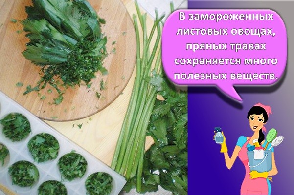 мороженная зелень