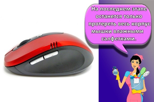 На последнем этапе останется только протереть весь корпус мышки влажными салфетками.