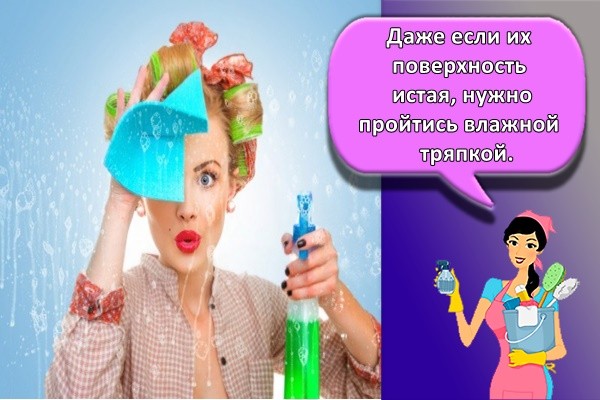 Даже если их поверхность чистая, нужно пройтись влажной тряпкой.