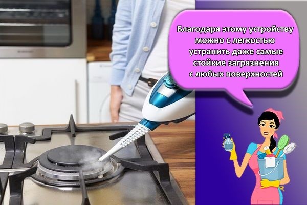 парооочиститель