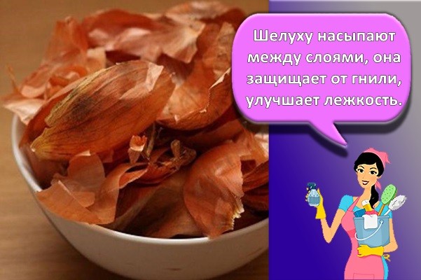 луковая шелуха