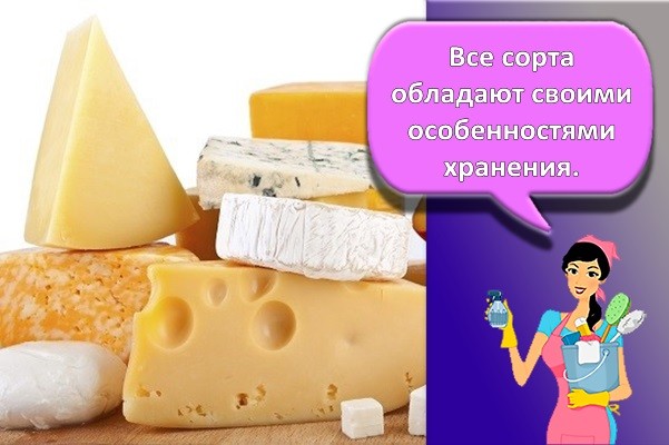 разные сыры