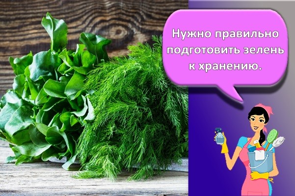 хранение зелени