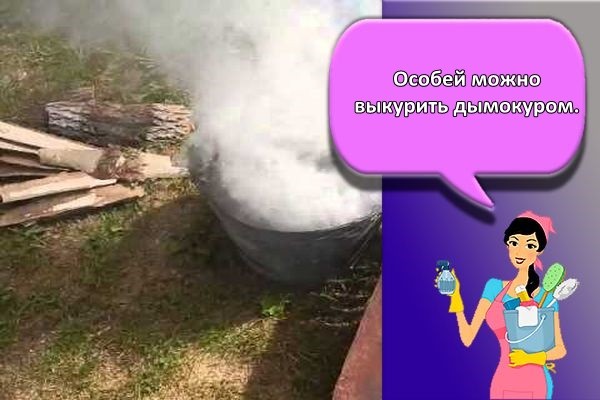 дымокур средство