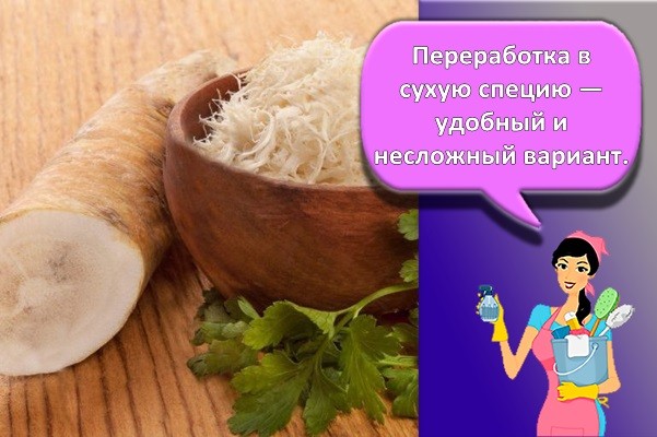 хрен как специя