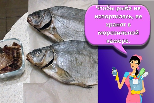 вяленая рыба