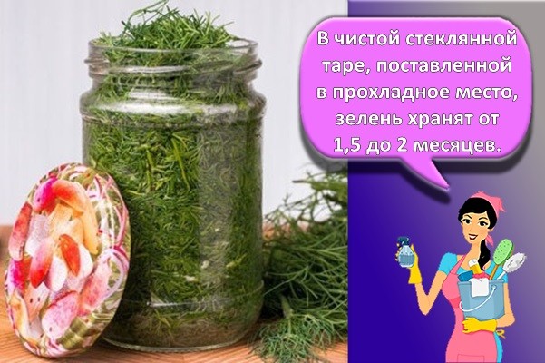 укроп в банке
