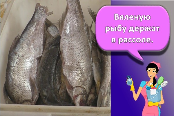 рыба в рассоле
