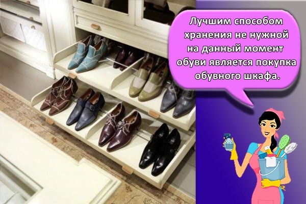 Лучшим способом хранения не нужной на данный момент обуви является покупка обувного шкафа