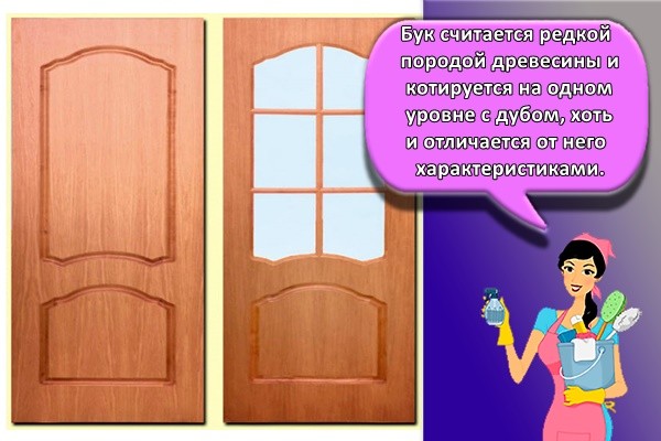 Бук считается редкой породой древесины и котируется на одном уровне с дубом, хоть и отличается от него характеристиками.