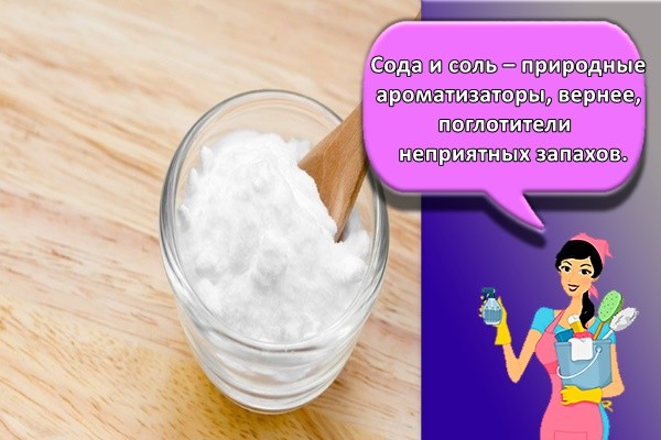 Сода и соль – природные ароматизаторы, вернее, поглотители неприятных запахов.