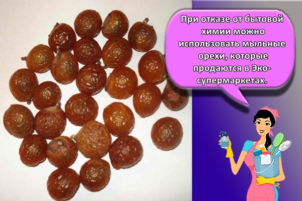 При отказе от бытовой химии можно использовать мыльные орехи, которые продаются в Эко-супермаркетах.