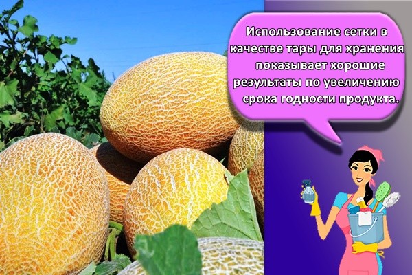 Использование сетки в качестве тары для хранения показывает хорошие результаты по увеличению срока годности продукта.
