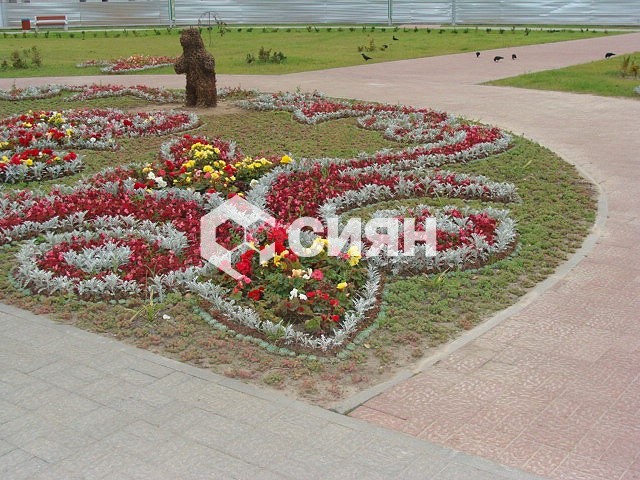 завод сиян