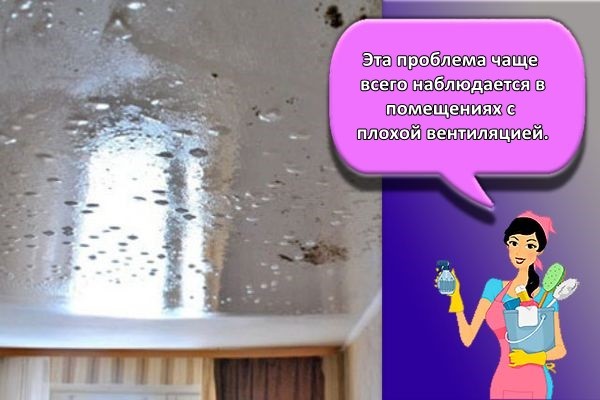 конденсат