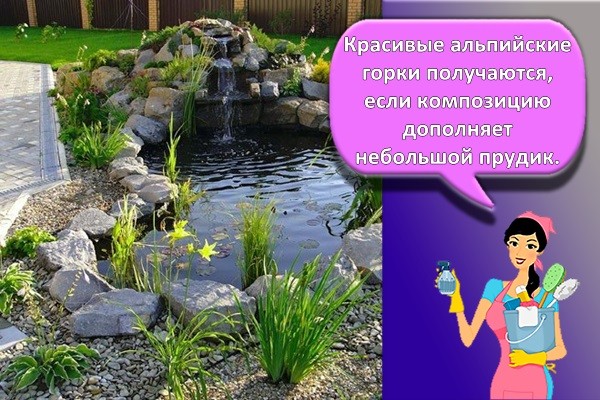 пруд во дворе