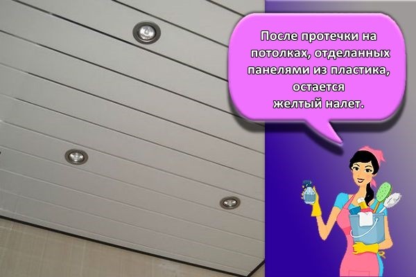 пвх потолок