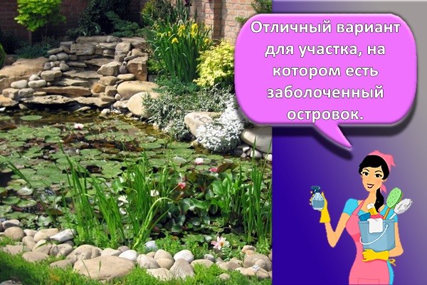 болото