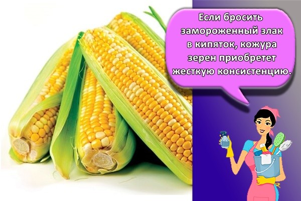 Если бросить замороженный злак в кипяток, кожура зерен приобретет жесткую консистенцию.