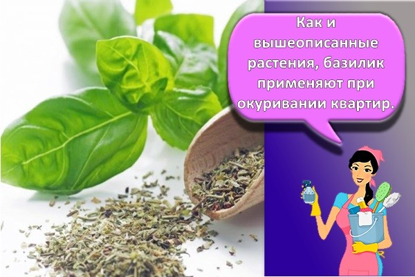 базилик