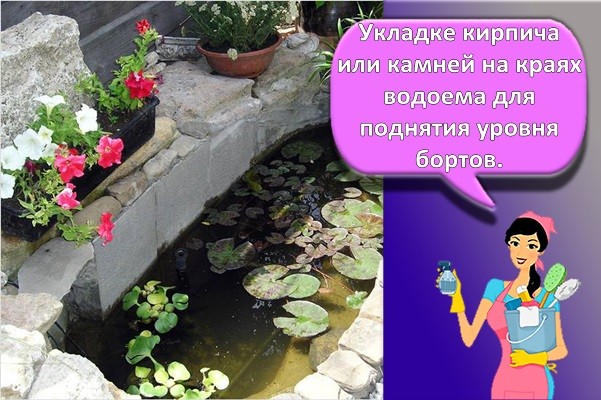 борты пруда