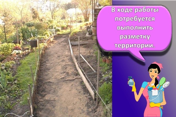 будущая тропинка