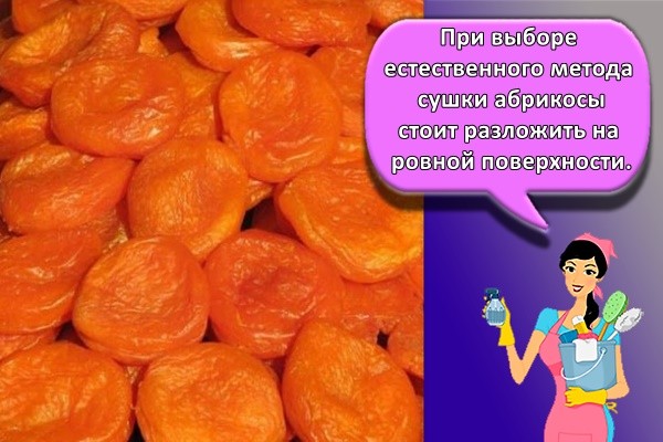 При выборе естественного метода сушки абрикосы стоит разложить на ровной поверхности.