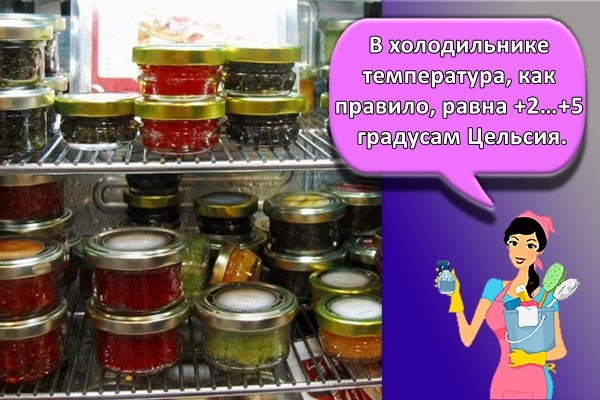 В холодильнике температура, как правило, равна +2…+5 градусам Цельсия.