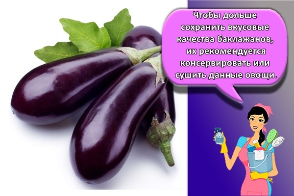 Чтобы дольше сохранить вкусовые качества баклажанов, их рекомендуется консервировать или сушить данные овощи.