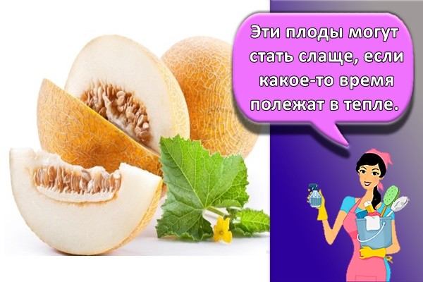 Эти плоды могут стать слаще, если какое-то время полежат в тепле.