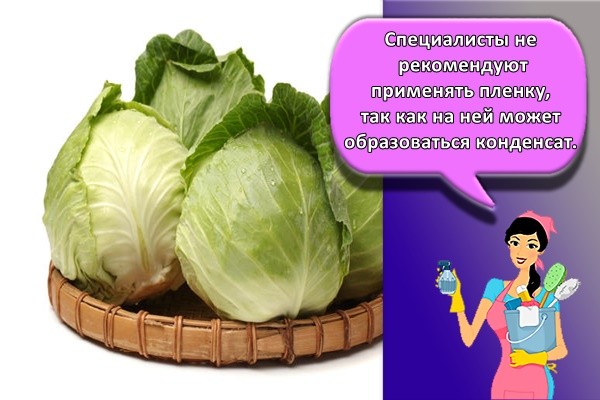 Специалисты не рекомендуют применять пленку, так как на ней может образоваться конденсат.
