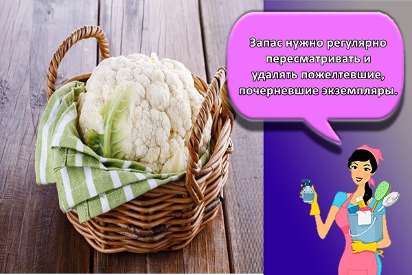 Запас нужно регулярно пересматривать и удалять пожелтевшие, почерневшие экземпляры.