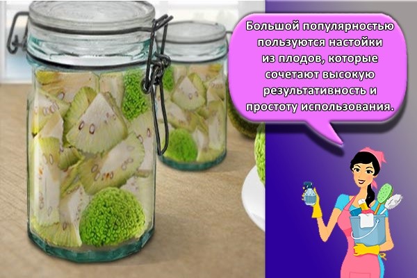 Большой популярностью пользуются настойки из плодов, которые сочетают высокую результативность и простоту использования.