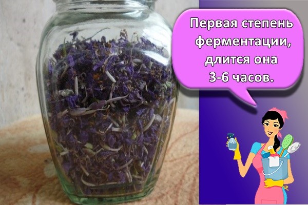 Первая степень ферментации, длится она 3-6 часов.