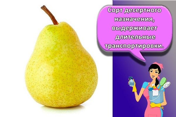 Сорт десертного назначения, выдерживает длительные транспортировки.
