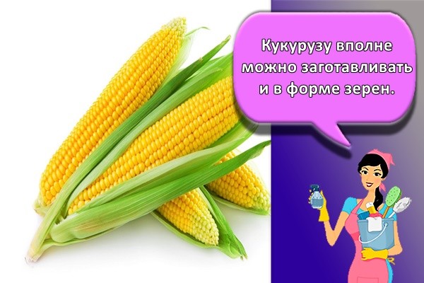 Кукурузу вполне можно заготавливать и в форме зерен.