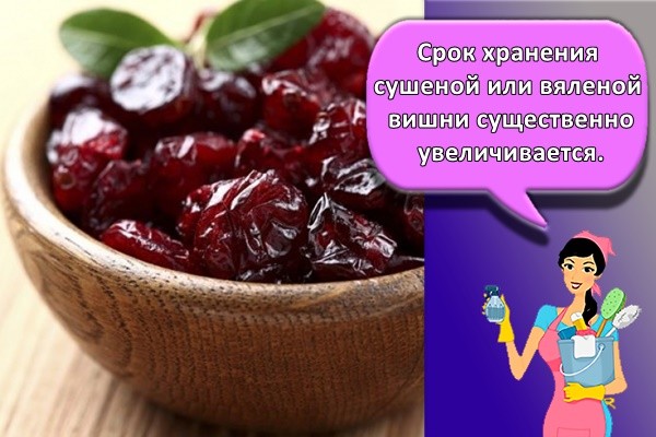 Срок хранения сушеной или вяленой вишни существенно увеличивается.